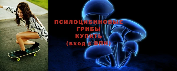 a pvp Верея