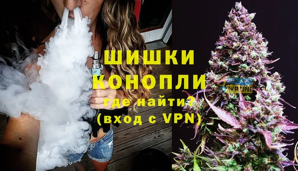 прущие грибы Володарск