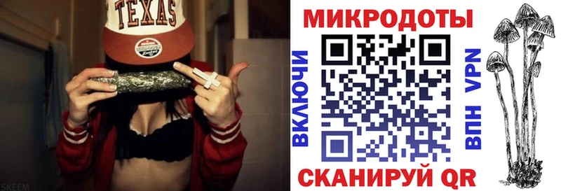 omg tor  закладки  Геленджик  Галлюциногенные грибы Psilocybine cubensis 